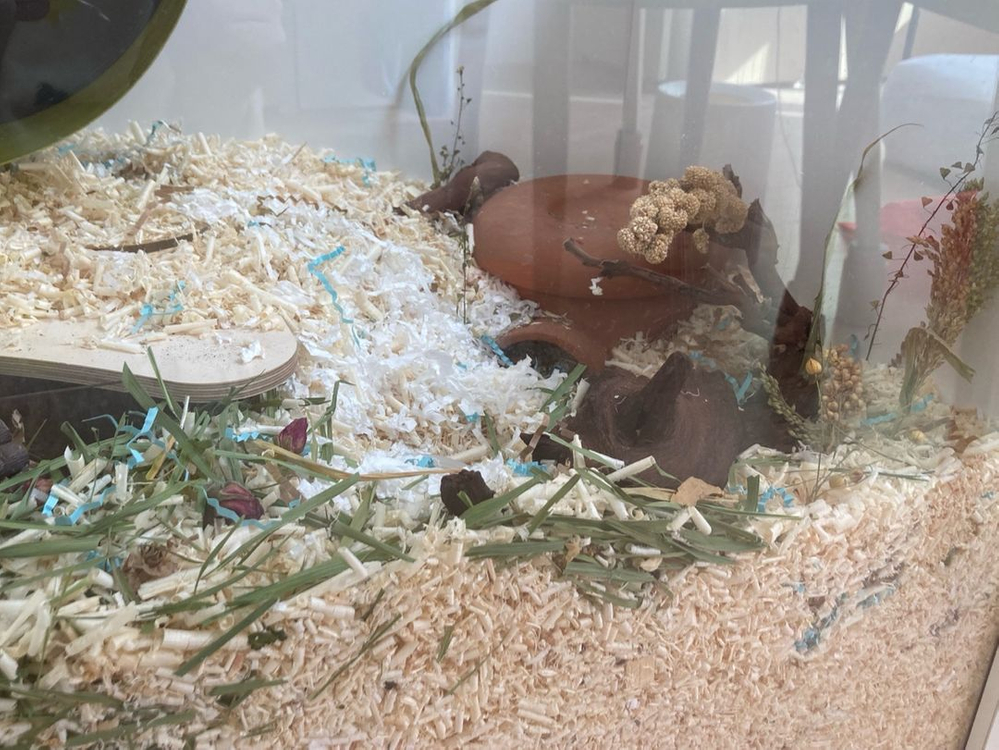 행햄케 햄스터케이지 판매합니다 (80x43x60) 이미지