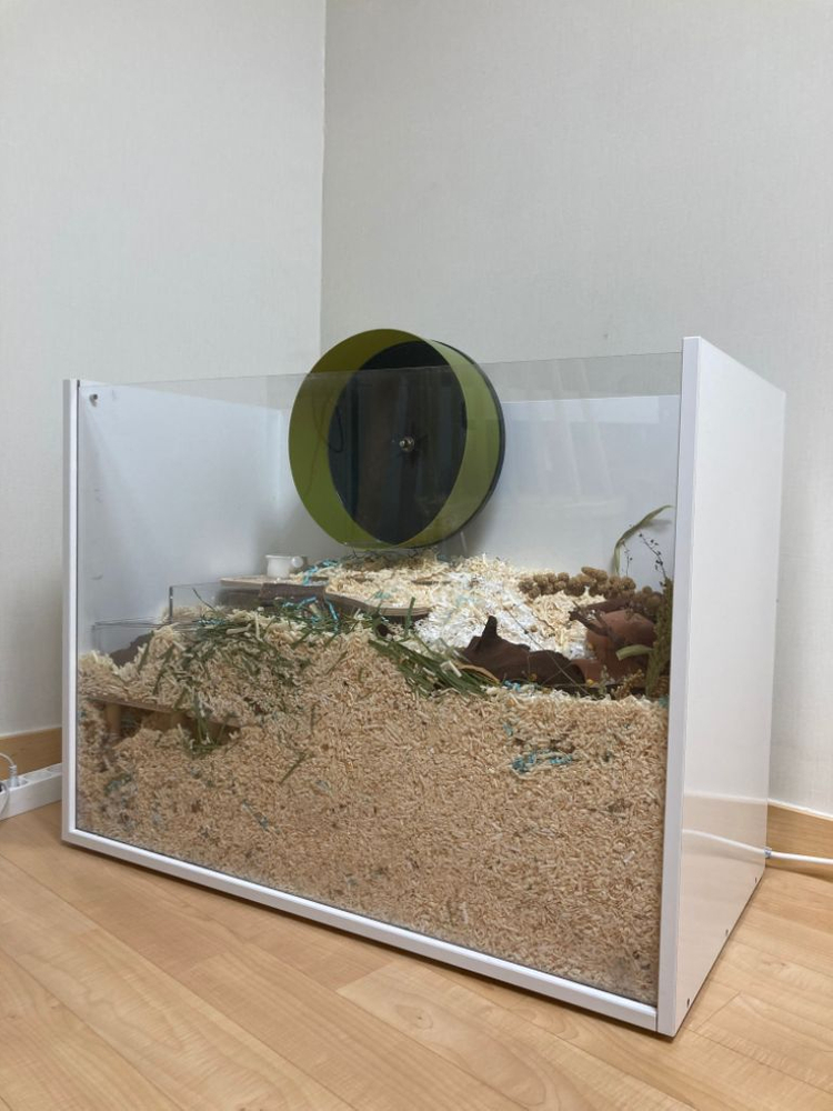 행햄케 햄스터케이지 판매합니다 (80x43x60) 이미지