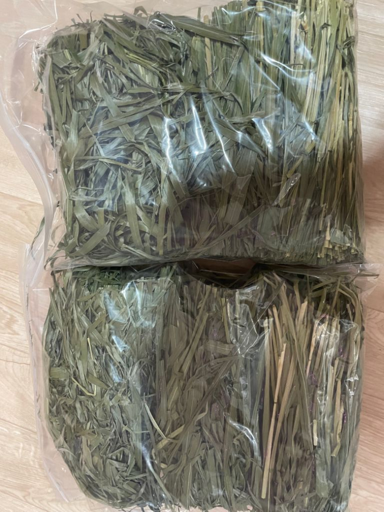 수입 연맥, 국내산 연맥, 페레보쿠, 옥스보우 기니피그 이미지