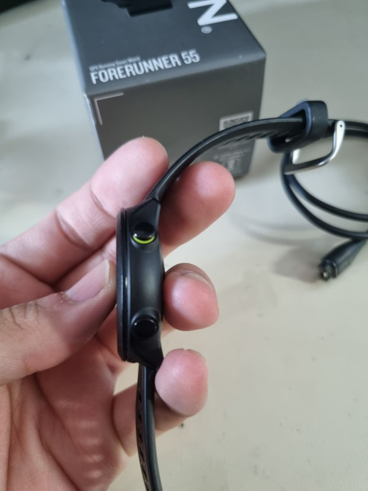 가민 포러너55 이미지