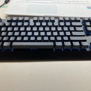 레이저 Blackwidow V3 TKL Linear K