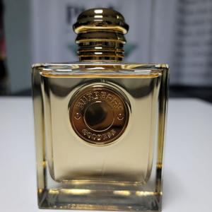 버버리 가디스 EDP 100ml 테스터