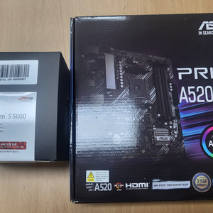 AMD 5600 / ASUS A520