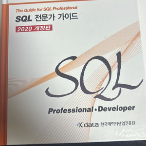 sql 전문가 가이드