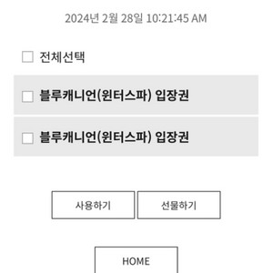 휘닉스파크 블루캐니언 입장권 2장 판매 2/28