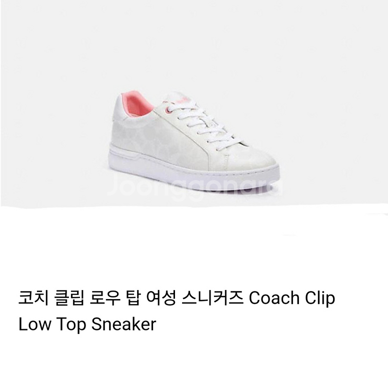 코치 시그니처 캔버스 클립 로우탑 스니커즈 225--2