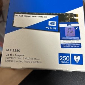 wd blue ssd 250g