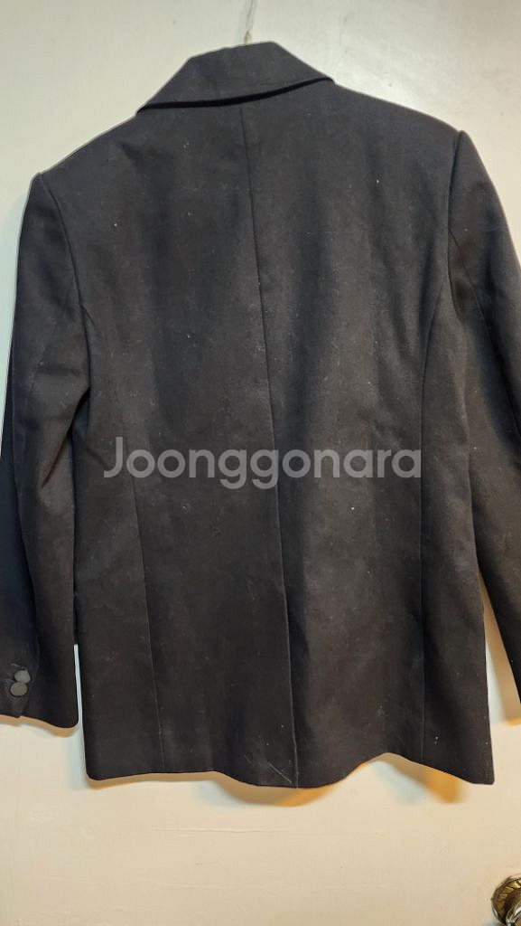 알렉산더왕콤비 S--3