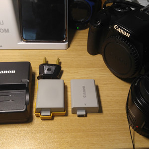 캐논 Canon Kiss X2(EOS 450D)