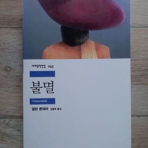 밀란 쿤데라의 <불멸>