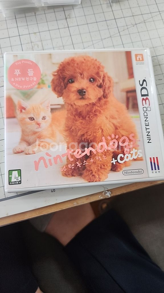 닌텐도3ds칩--1