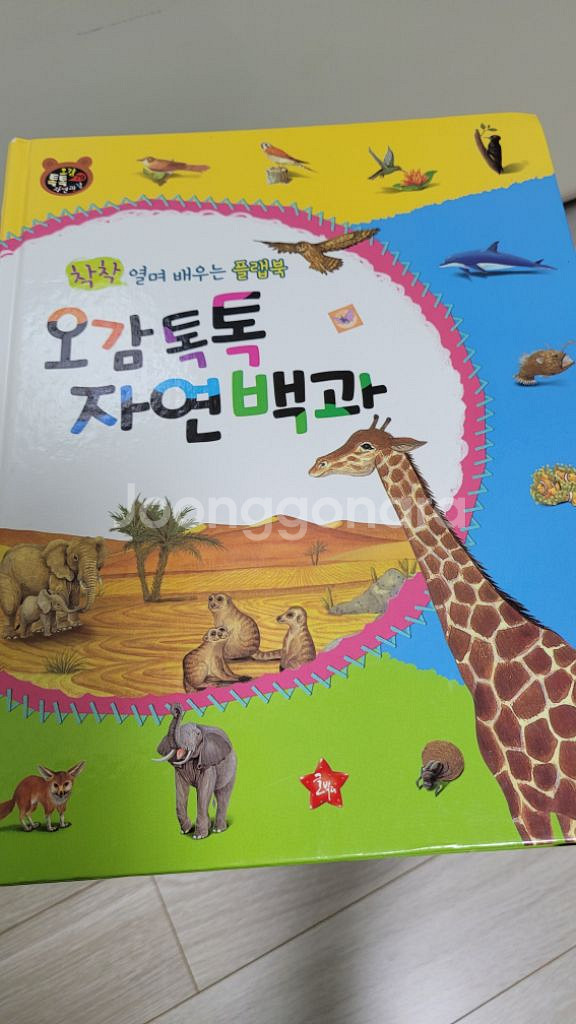 오감톡톡자연관찰--0