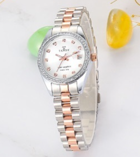 [탠디]여성 손목시계 사파이어라인TS-302 판매