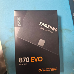 삼성 870 evo 500gb