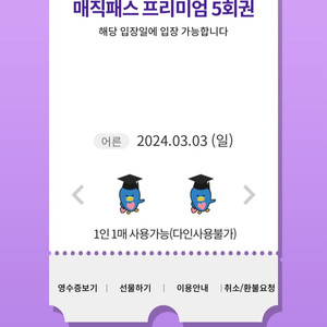 3월3일(일)롯데월드 매직패스 5회권 4장