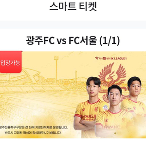 광주 fc fc 서울 w석 g2