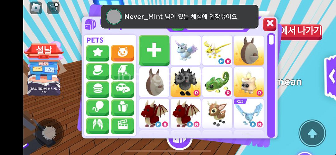입양하세요 얼드--0