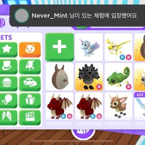입양하세요 얼드