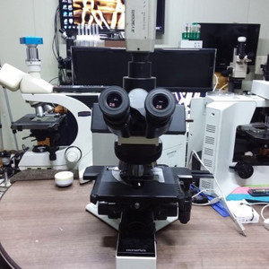 OLYMPUS 올림프스 BX50 현미경