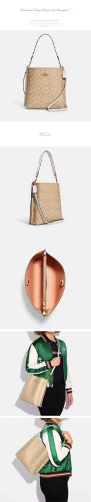 코치 시그니처 캔버스 몰리 버킷백 [가격인하]--3