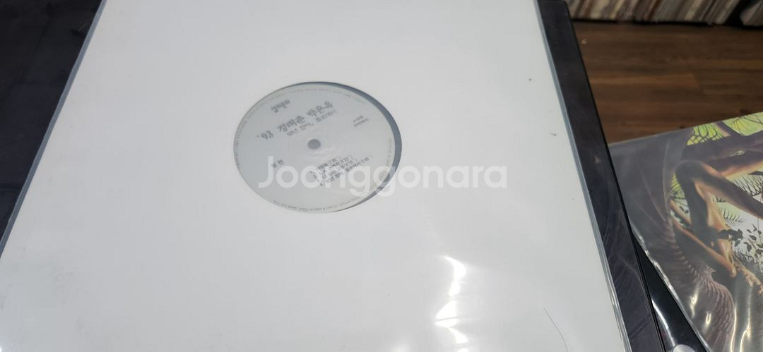 lp판,정태춘 박은옥92장마알판--0