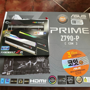 Asus Prime Z790,D5 CL3600팝니다
