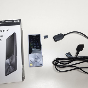 Sony NW-A25