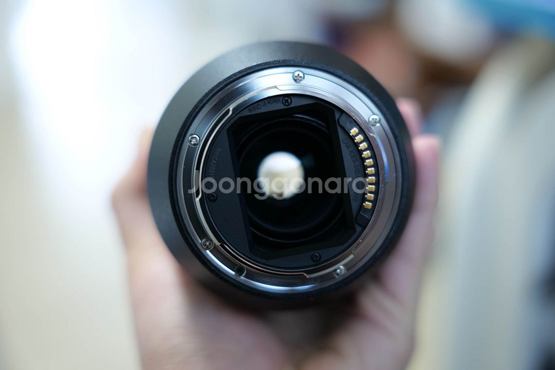 파나소닉 루믹스 70-300 f4.5-5.6 L마운트--5