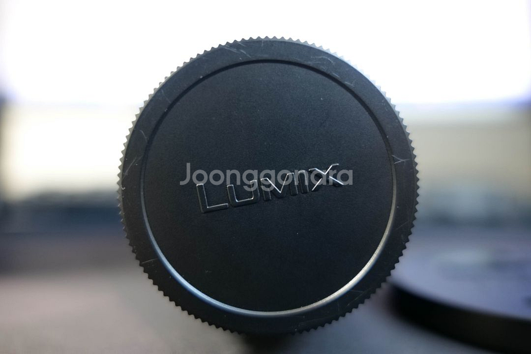파나소닉 루믹스 70-300 f4.5-5.6 L마운트--7