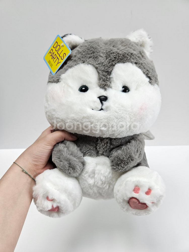 귀여운 시바 인형 두마리 입양하세요~!!--1