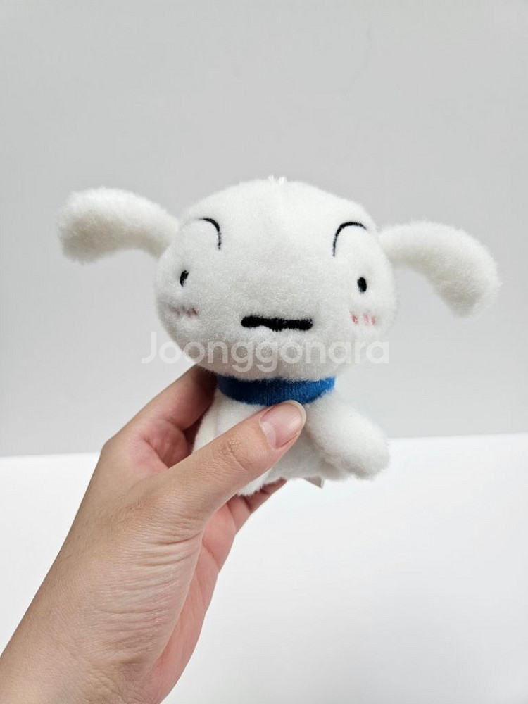 흰둥이 키링 두마리 입양하세요~!!--1