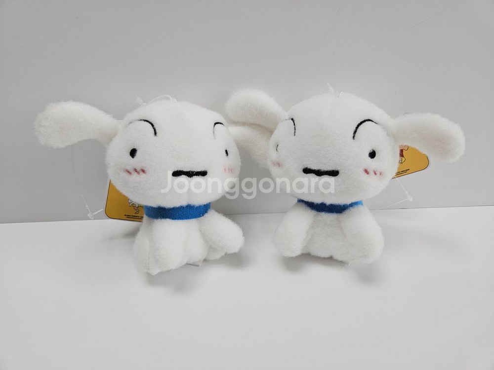 흰둥이 키링 두마리 입양하세요~!!--0