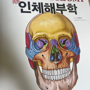 (거의새책) 방사선학과 인체해부학