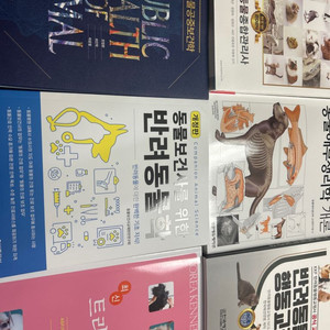 반려동물 행동교정