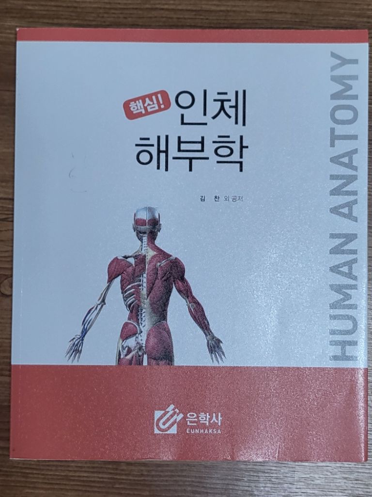 핵심 인체해부학 (은학사)//완전새책