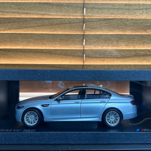 1:18 다이캐스트 파라곤 BMW F10 M5 실버스톤