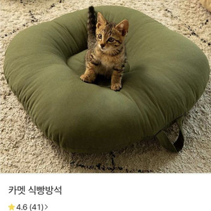 고양이 역방쿠(방석)