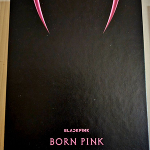 블랙핑크 BORN PINK 분홍,블랙 앨범