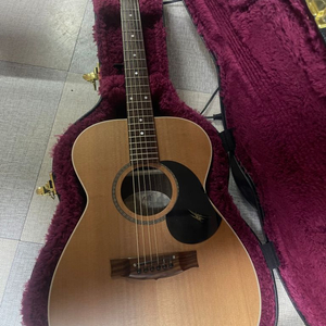 메이튼 maton ebg808 어쿠스틱기타 판매교환