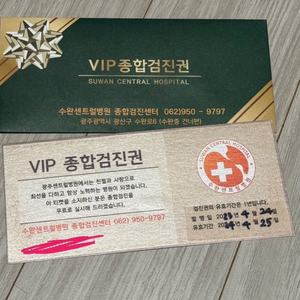 VIP종합검진권