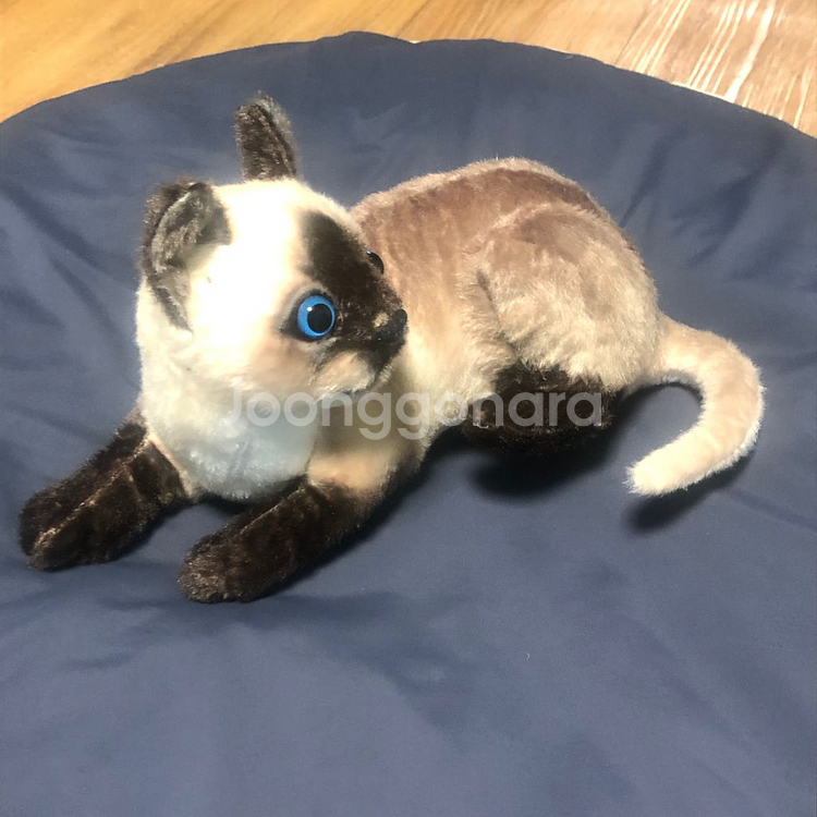 새상품 샴 고양이 인형--1