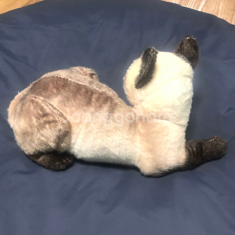 새상품 샴 고양이 인형--3