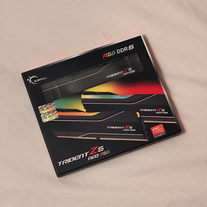 지스킬 DDR5 TRIDENT Z5 NEO RGB 램