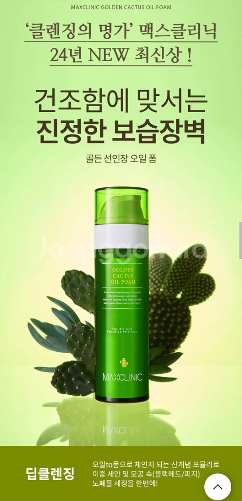 맥스클리닉 골든선인장 오일폼 24년 최신상--3