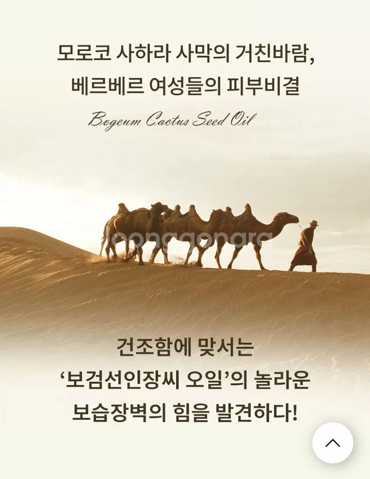맥스클리닉 골든선인장 오일폼 24년 최신상--4