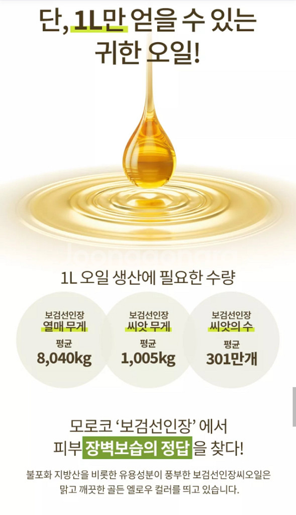 맥스클리닉 골든선인장 오일폼 24년 최신상--6