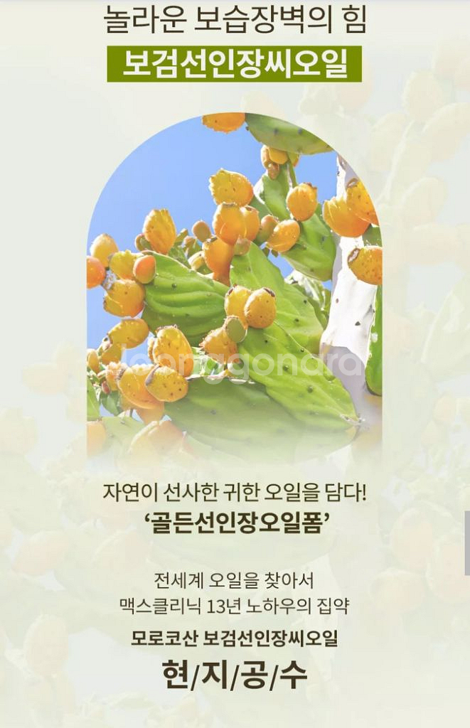 맥스클리닉 골든선인장 오일폼 24년 최신상--5