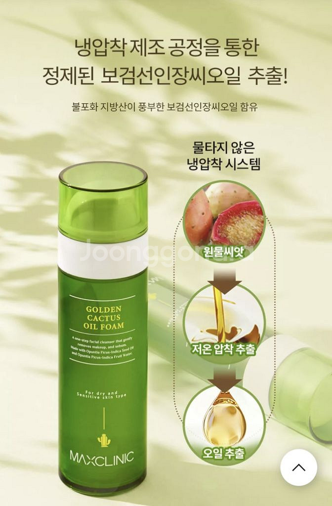 맥스클리닉 골든선인장 오일폼 24년 최신상--7