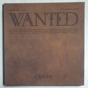 씨엔블루 CNBLUE 9집 앨범 WANTED (개봉)