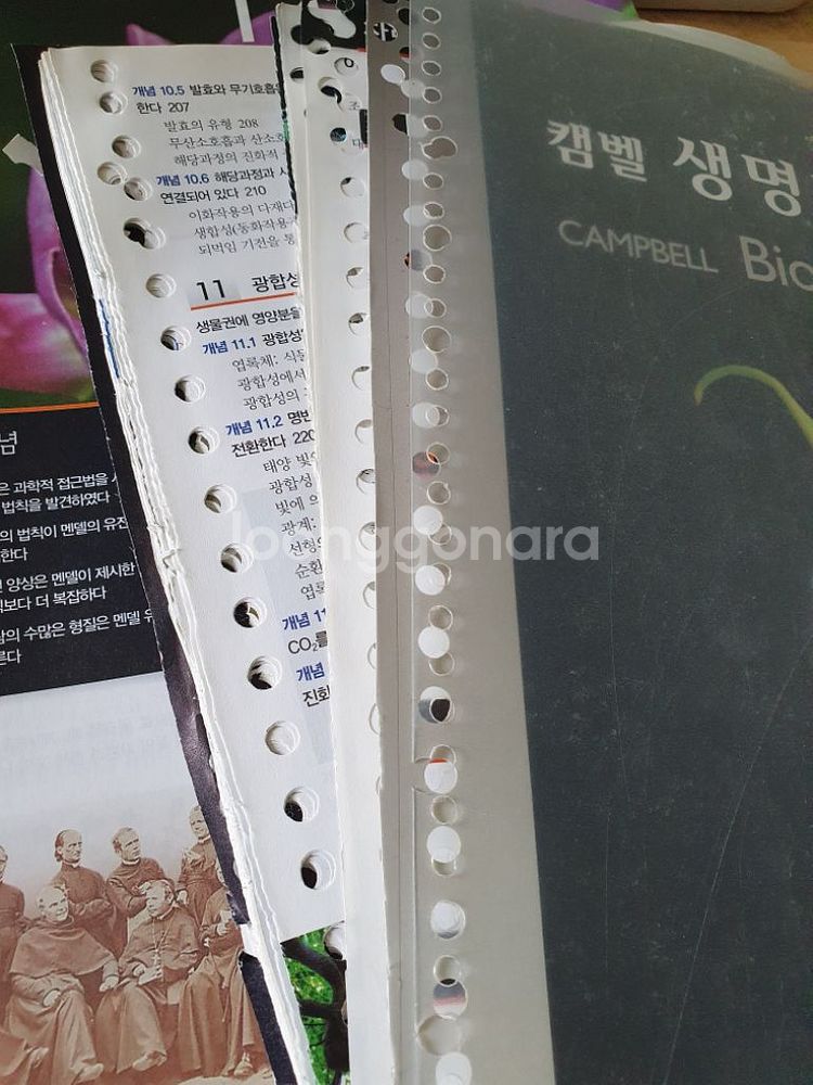 캠벨 생명과학 10판--7